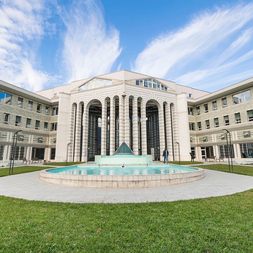 Istituto Clinico San Rocco.