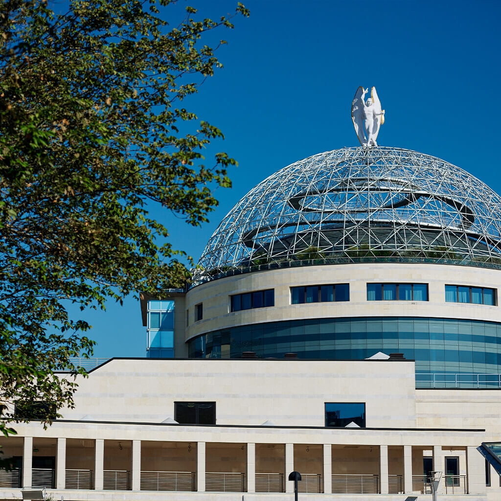Ospedale San Raffaele.
